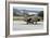 Hellenic Air Force Ta-7C Corsair Taxiing at Araxos Air Base-Stocktrek Images-Framed Photographic Print