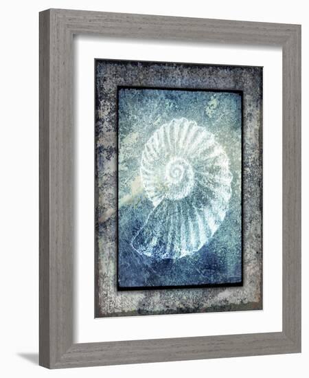 Hello Beach Shell I-LightBoxJournal-Framed Giclee Print