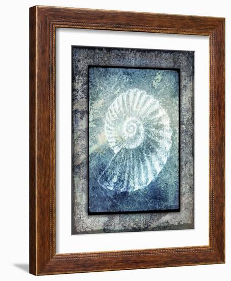 Hello Beach Shell I-LightBoxJournal-Framed Giclee Print