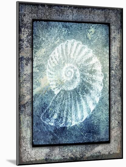 Hello Beach Shell I-LightBoxJournal-Mounted Giclee Print