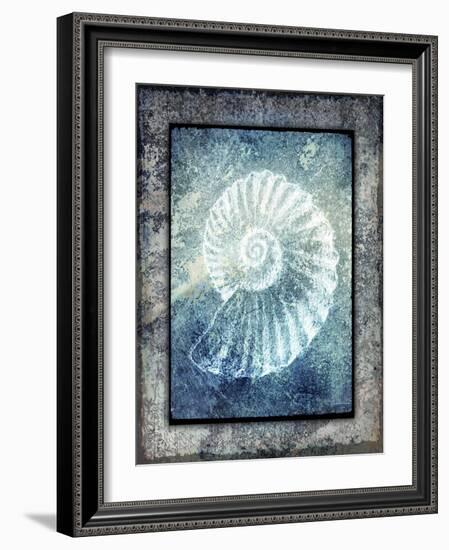 Hello Beach Shell I-LightBoxJournal-Framed Giclee Print