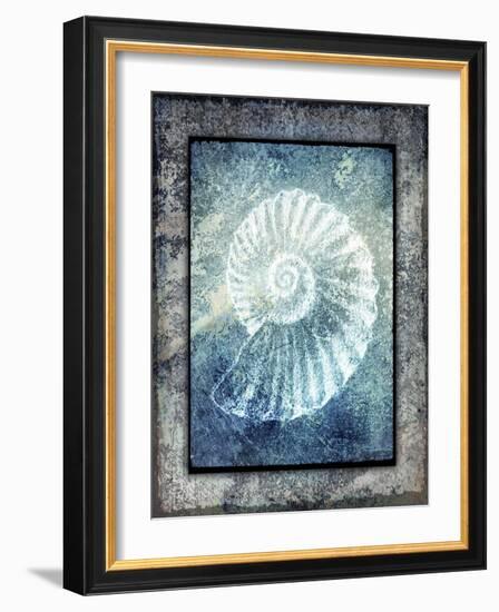 Hello Beach Shell I-LightBoxJournal-Framed Giclee Print