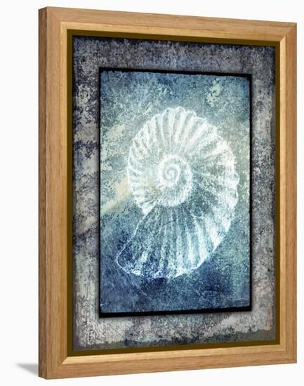 Hello Beach Shell I-LightBoxJournal-Framed Premier Image Canvas