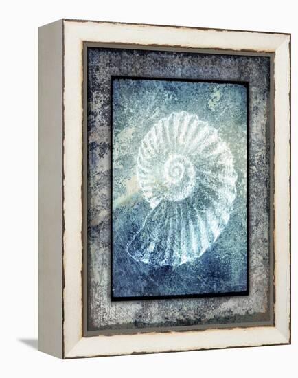 Hello Beach Shell I-LightBoxJournal-Framed Premier Image Canvas