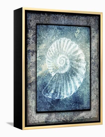 Hello Beach Shell I-LightBoxJournal-Framed Premier Image Canvas