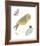 Hello Friends - Bird-Clara Wells-Framed Giclee Print