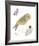 Hello Friends - Bird-Clara Wells-Framed Giclee Print