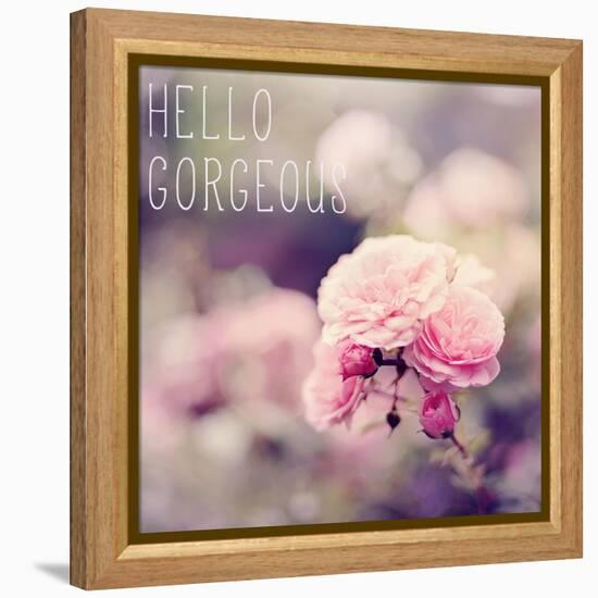 Hello Gorgeous-Sarah Gardner-Framed Stretched Canvas