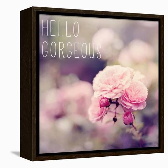 Hello Gorgeous-Sarah Gardner-Framed Stretched Canvas