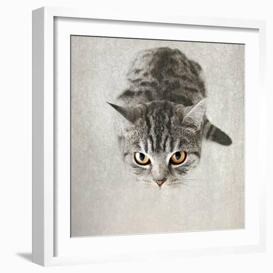 Hello Kitty-Nadia Attura-Framed Photographic Print