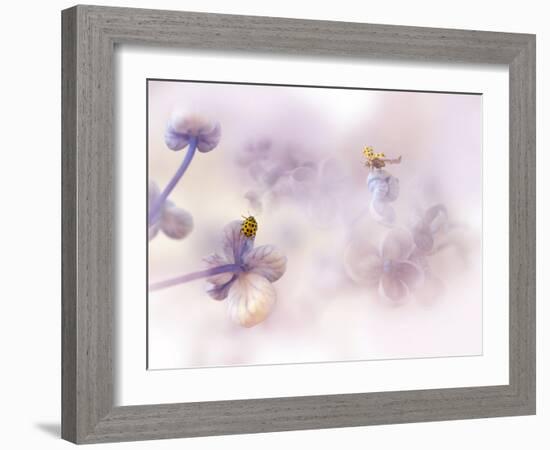 Hello there...-Ellen van Deelen-Framed Photographic Print