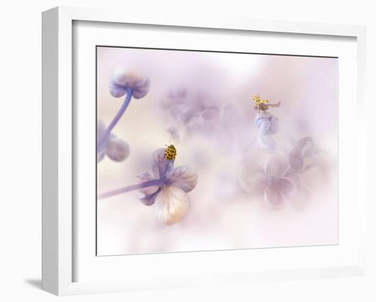 Hello there...-Ellen van Deelen-Framed Photographic Print