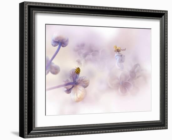 Hello there...-Ellen van Deelen-Framed Photographic Print