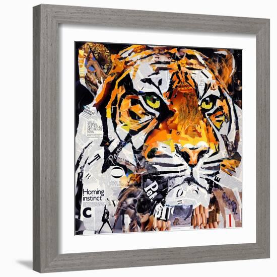 Hello Tiger-James Grey-Framed Art Print