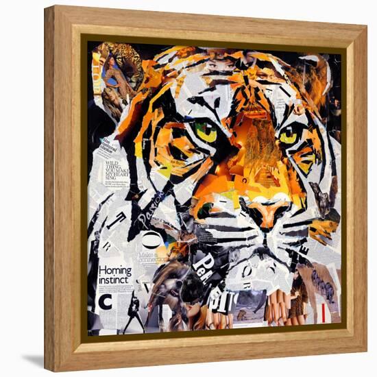 Hello Tiger-James Grey-Framed Stretched Canvas