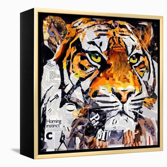 Hello Tiger-James Grey-Framed Stretched Canvas