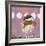 Hellow Chickadee-Molly Reeves-Framed Photographic Print