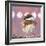 Hellow Chickadee-Molly Reeves-Framed Photographic Print