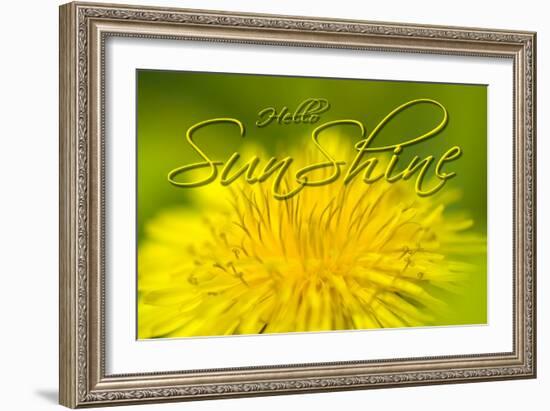 Hellow Sunshine-Cora Niele-Framed Giclee Print