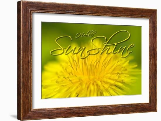 Hellow Sunshine-Cora Niele-Framed Giclee Print