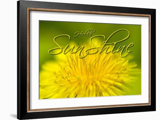 Hellow Sunshine-Cora Niele-Framed Giclee Print