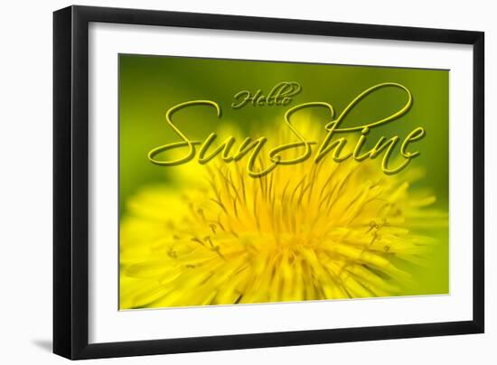 Hellow Sunshine-Cora Niele-Framed Giclee Print