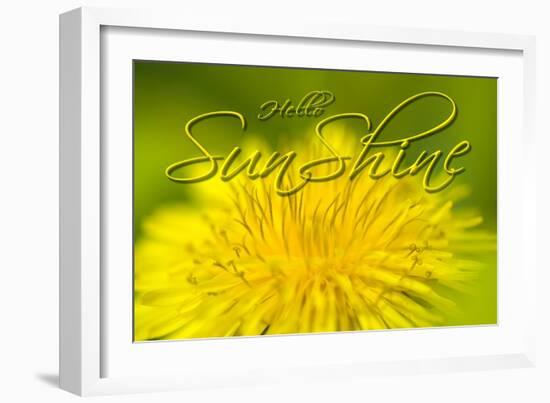 Hellow Sunshine-Cora Niele-Framed Giclee Print