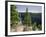 Helmcken Falls, Wells Grey Provincial Park, British Columbia, Canada, North America-Martin Child-Framed Photographic Print