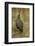 Helmeted Guineafowl-Joe McDonald-Framed Photographic Print