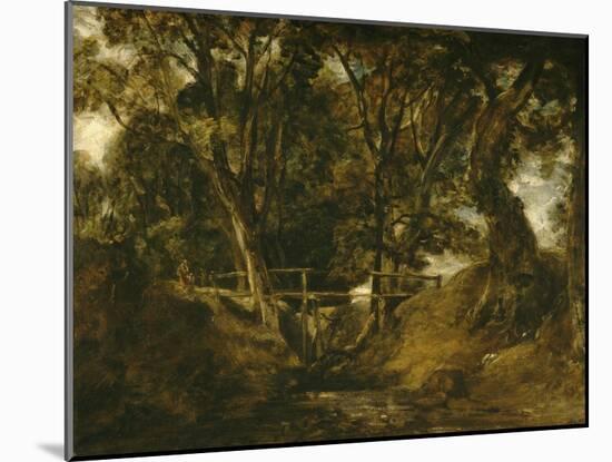 Helmingham Dell. Vallon dans le parc de Helmingham (Suffolk)-John Constable-Mounted Giclee Print