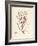 Helminthocladia purpurea-Henry Bradbury-Framed Giclee Print