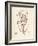 Helminthocladia purpurea-Henry Bradbury-Framed Giclee Print