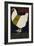 Help the National Egg Collection for the Wounded-null-Framed Giclee Print