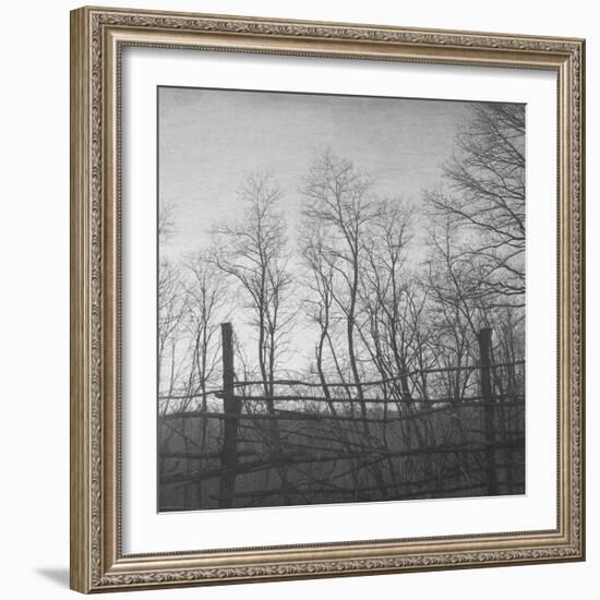 Helpless-Tomislav Bogovic-Framed Photographic Print