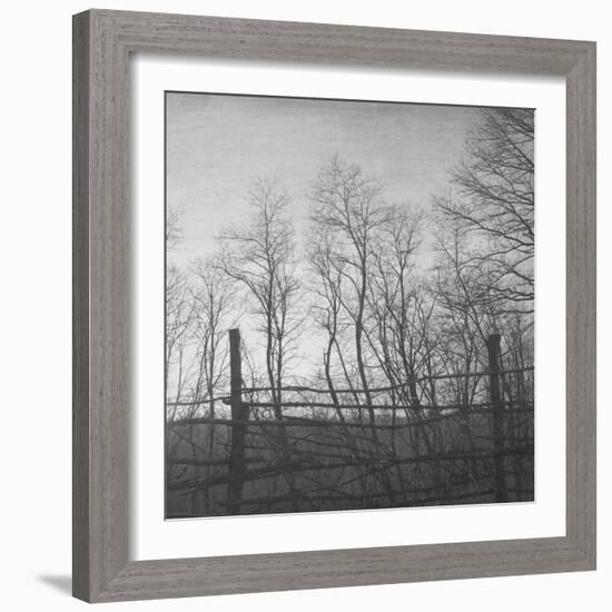 Helpless-Tomislav Bogovic-Framed Photographic Print