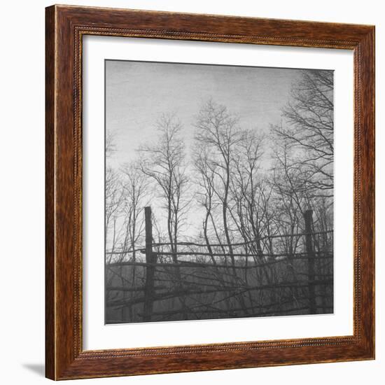 Helpless-Tomislav Bogovic-Framed Photographic Print