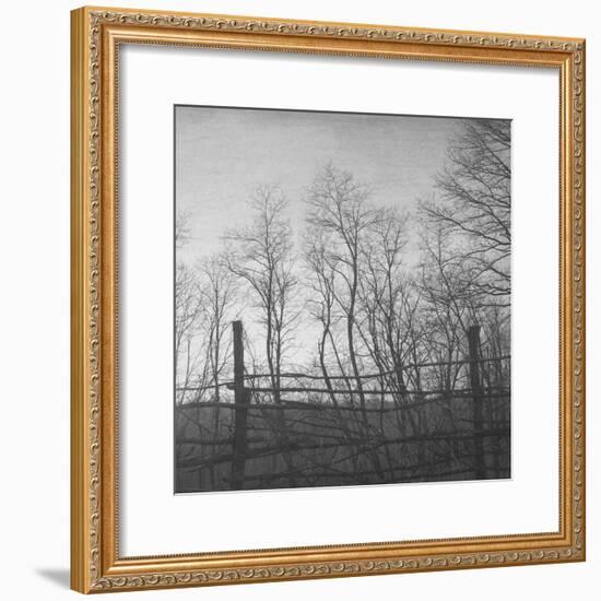 Helpless-Tomislav Bogovic-Framed Photographic Print