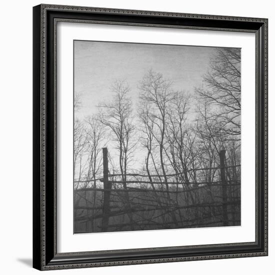 Helpless-Tomislav Bogovic-Framed Photographic Print