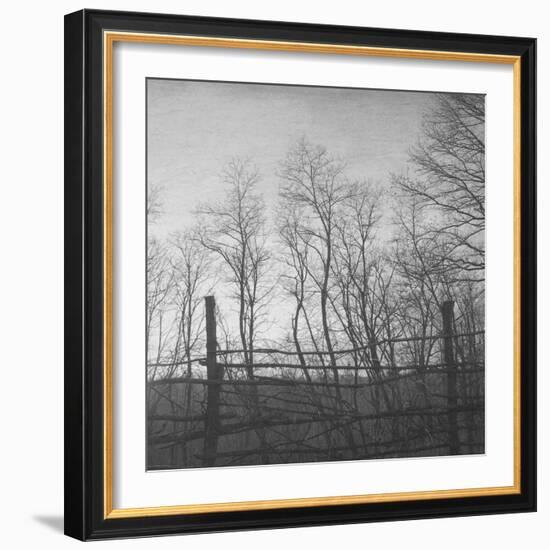 Helpless-Tomislav Bogovic-Framed Photographic Print