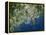 Helsinki, Satellite Image-PLANETOBSERVER-Framed Premier Image Canvas