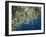 Helsinki, Satellite Image-PLANETOBSERVER-Framed Photographic Print