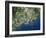 Helsinki, Satellite Image-PLANETOBSERVER-Framed Photographic Print