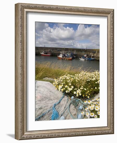 Helvick Head Pier, County Waterford, Munster, Republic of Ireland, Europe-Richard Cummins-Framed Photographic Print