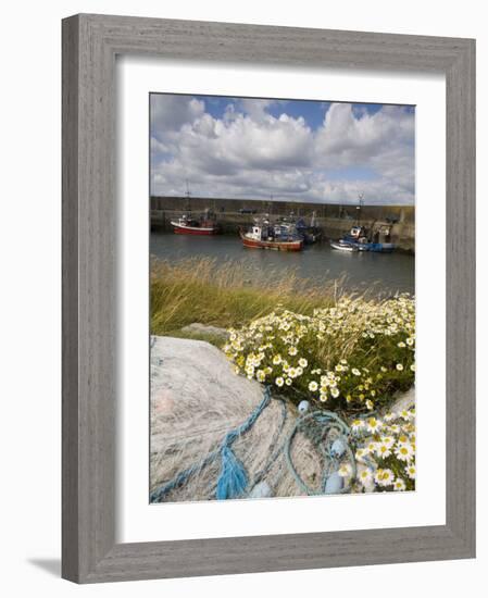 Helvick Head Pier, County Waterford, Munster, Republic of Ireland, Europe-Richard Cummins-Framed Photographic Print