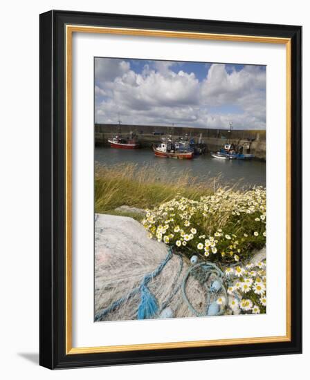 Helvick Head Pier, County Waterford, Munster, Republic of Ireland, Europe-Richard Cummins-Framed Photographic Print
