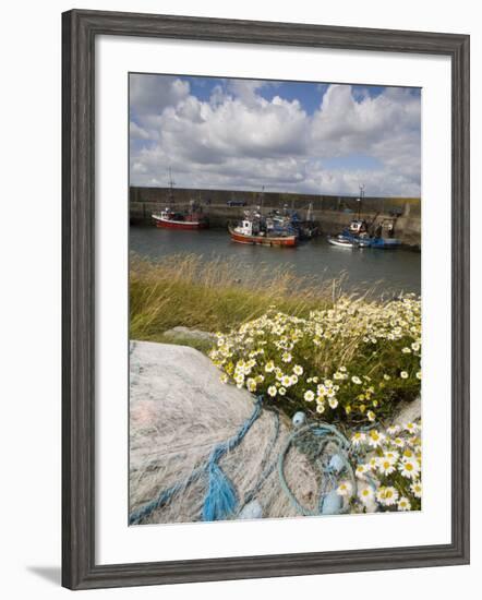 Helvick Head Pier, County Waterford, Munster, Republic of Ireland, Europe-Richard Cummins-Framed Photographic Print