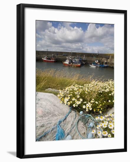 Helvick Head Pier, County Waterford, Munster, Republic of Ireland, Europe-Richard Cummins-Framed Photographic Print