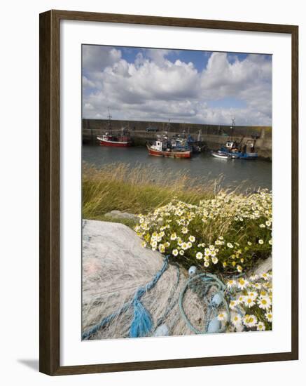 Helvick Head Pier, County Waterford, Munster, Republic of Ireland, Europe-Richard Cummins-Framed Photographic Print