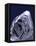 Hematite-Walter Geiersperger-Framed Premier Image Canvas