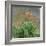 Hemerocallis, 1914-17-Claude Monet-Framed Giclee Print